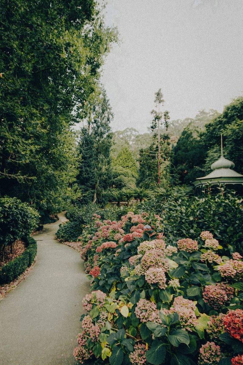 Jardins Harmonie Provence