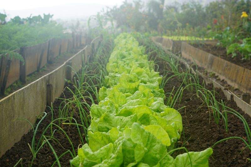 Jardins Harmonie Provence 3